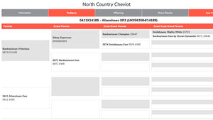 North Country Cheviot "Allanshaws XR3" 0411X14189 (UK0562084-14189) [13174] - Tank #4 - Semen imported into USA