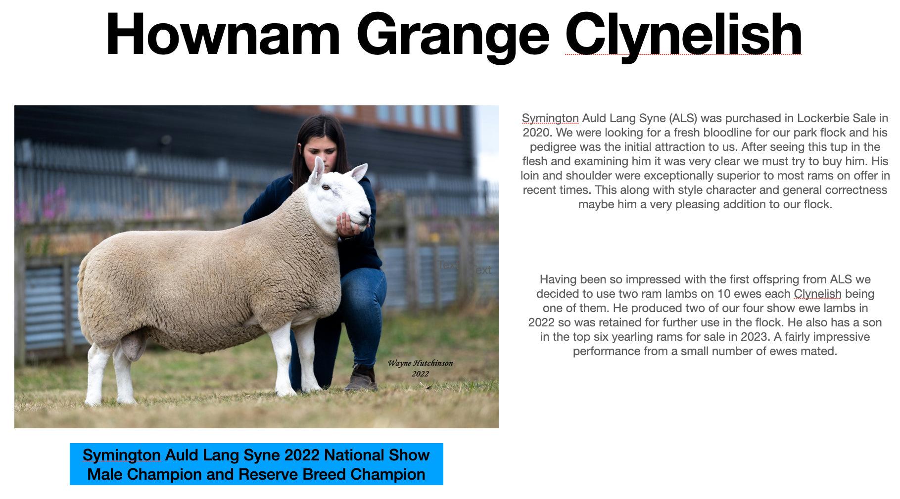 North Country Cheviot "Hownam Grange Clynelish" 0501C22741 (UK0561972-22741) - in UK/AI Centre for early 2024 import