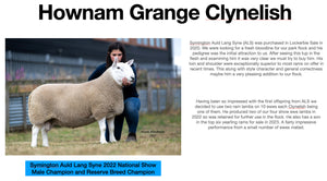 North Country Cheviot "Hownam Grange Clynelish" 0501C22741 (UK0561972-22741) - in UK/AI Centre for early 2024 import
