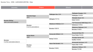 Shropshire "Brereton Torry" 2936 (UK0160631-00739) - Tank #11 - Semen Imported into USA