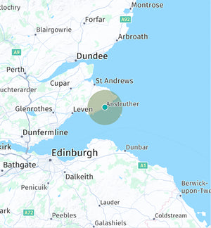 Cotswold "Crailside Ram" C17604 (UK0544931-01354) - in UK/AI Centre semen collection for Spring 2026 importation