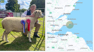 Cotswold (UK0544931-01354) - waiting for pedigree - in UK/AI Centre semen collection for Spring 2026 importation