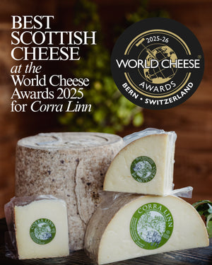 Lacaune "UPRA 34000236-71115" (FR280202-71115) - in UK/AI Centre semen collection for Spring 2026 importation