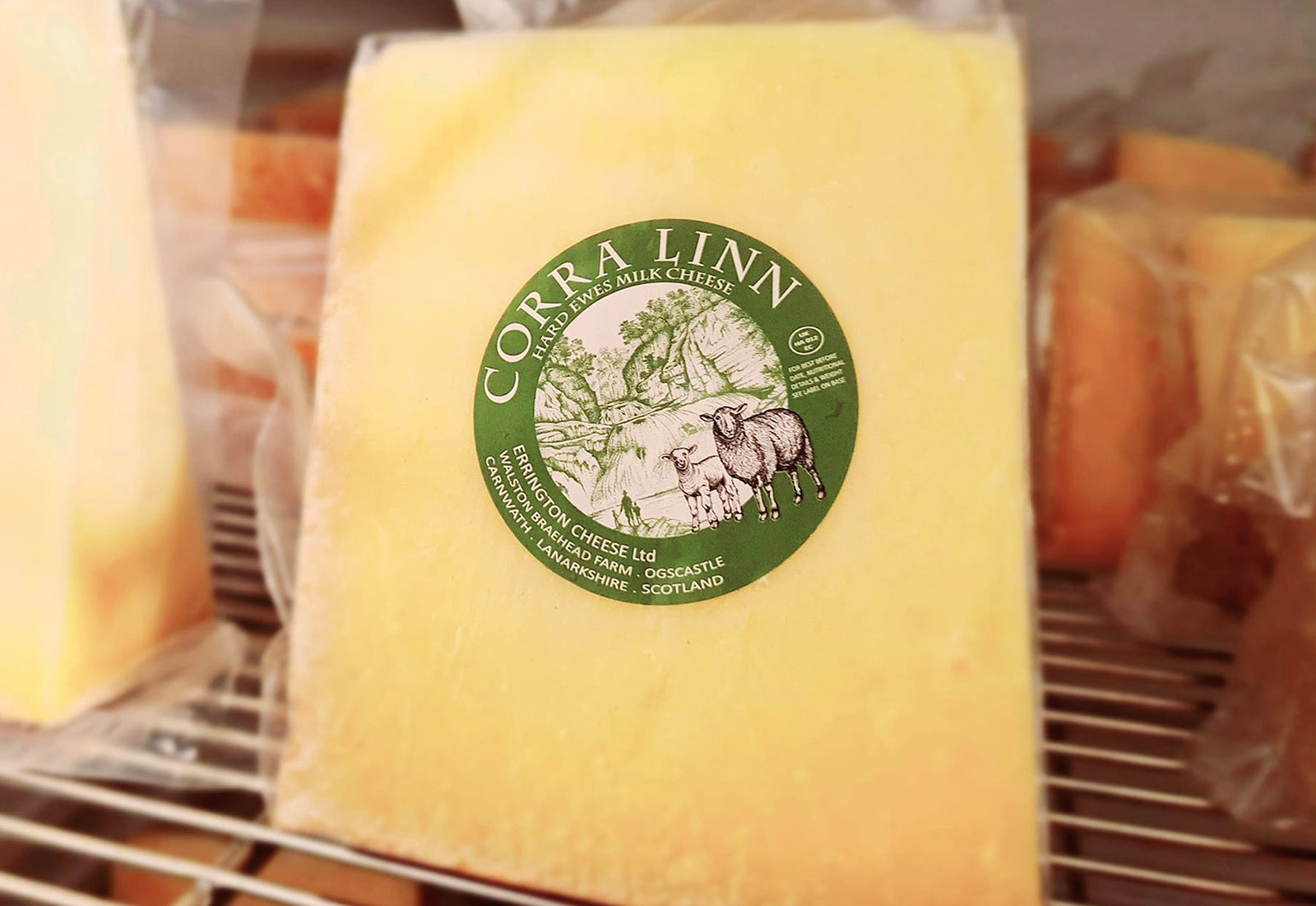 Lacaune "UPRA 34000236-71115" (FR280202-71115) - in UK/AI Centre semen collection for Spring 2026 importation