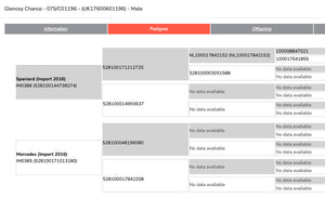 Dutch Spotted "Glencoy Chance" 075/C01196 (UK17600601196) - in UK/AI Centre for early 2024 import - SOLD OUT