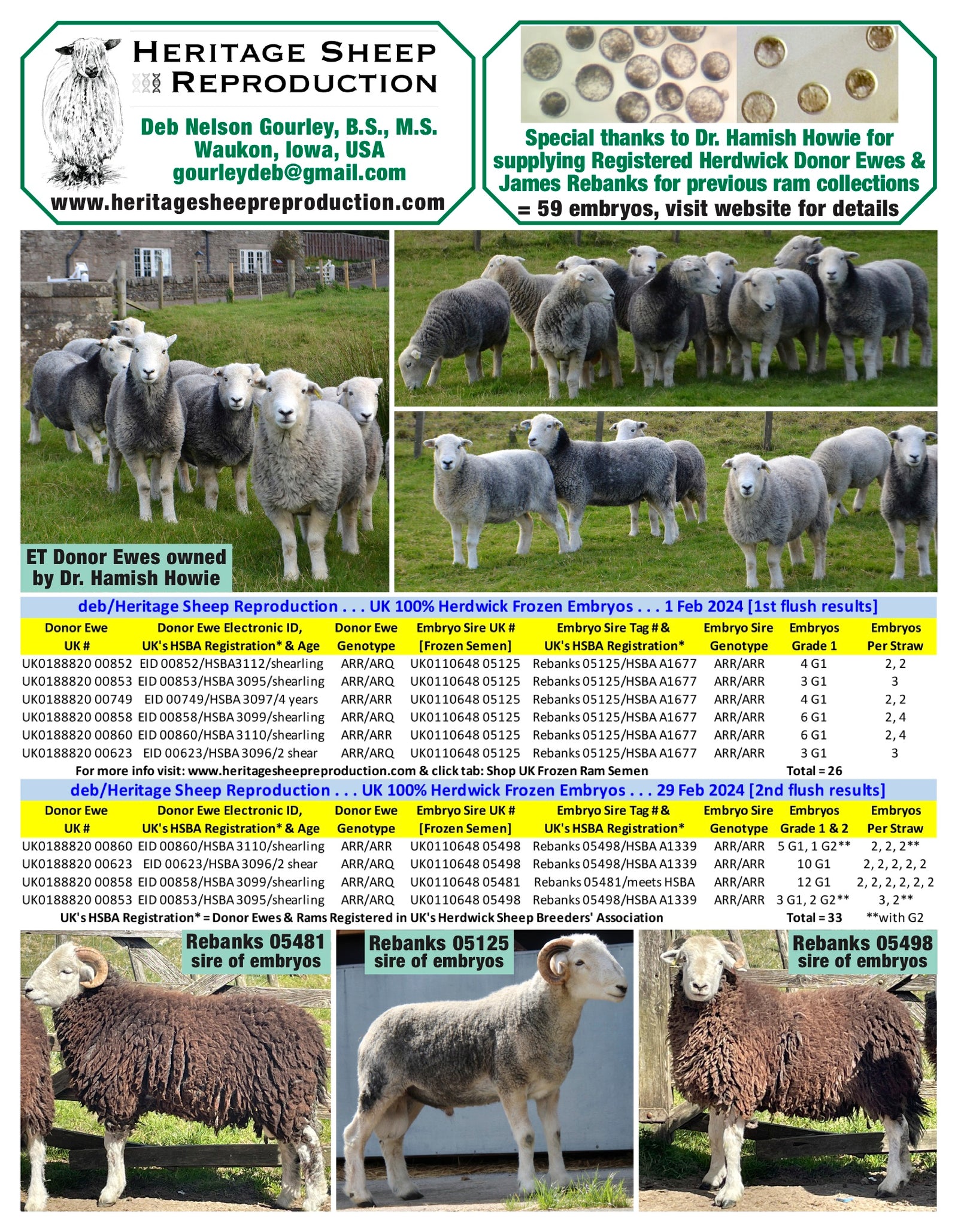 Herdwick 100% UK Embryos from Donor Ewes & Rams - Tank #9 - Embryos imported into USA