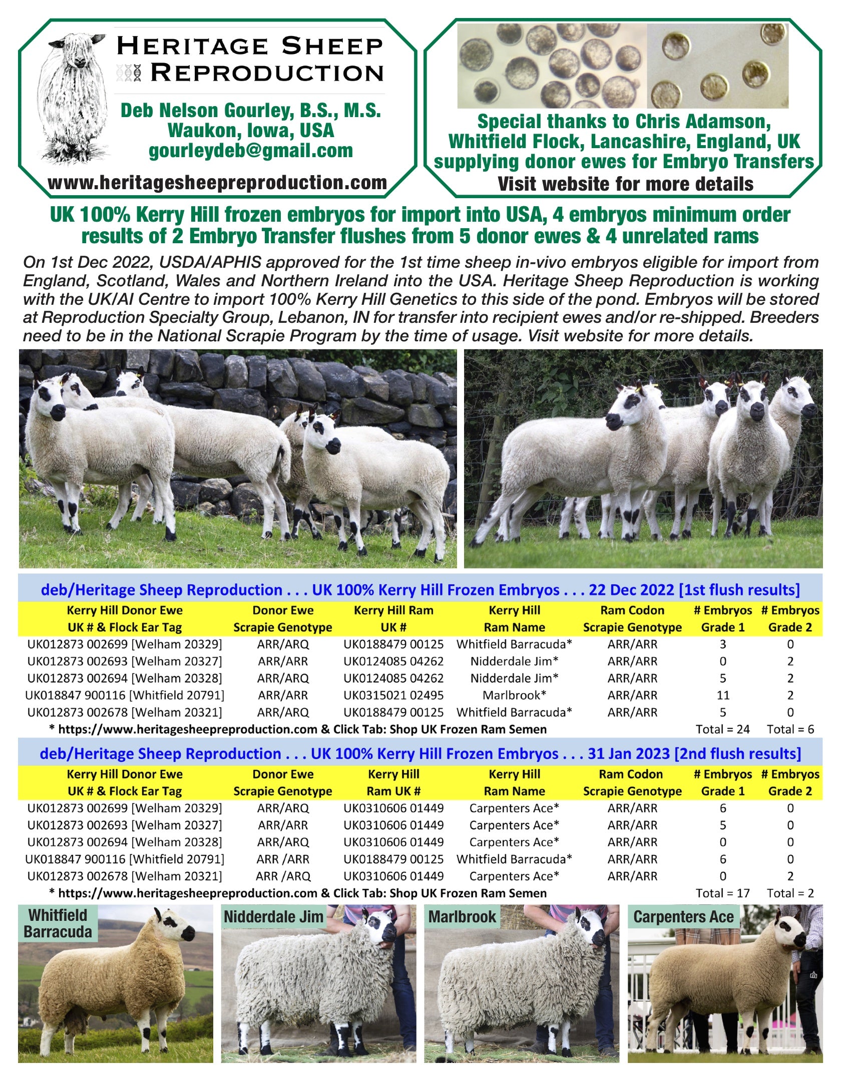 Kerry Hill 100% UK Embryos from 5 Donor Ewes & 4 Rams - Tank #6 - Embryos Imported into USA - SOLD OUT