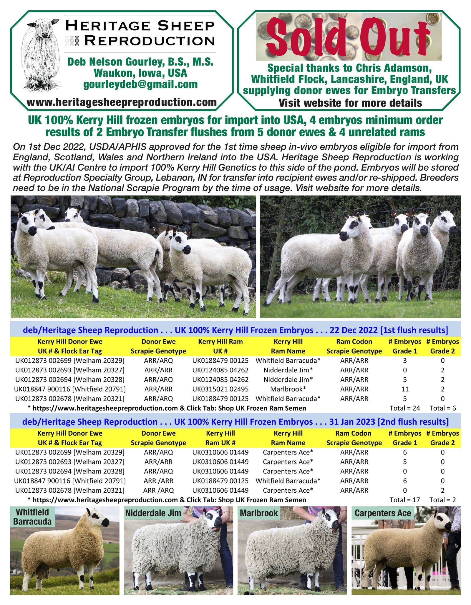 Kerry Hill 100% UK Embryos from 5 Donor Ewes & 4 Rams - Tank #6 - Embryos Imported into USA - Sold Out