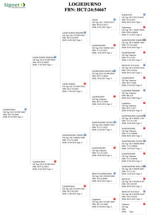Suffolk Logie Durno HCT:24:54667 (UK0521509-54667) - in UK/AI Centre semen collection for Spring 2026 importation