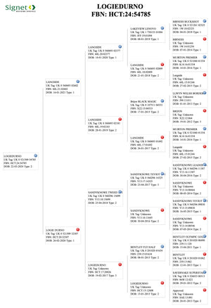 Suffolk Logie Durno HCT:24:54785 (UK0521509-54785) - in UK/AI Centre semen collection for Spring 2026 importation