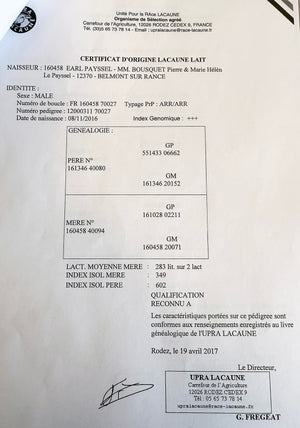 Lacaune "UPRA 12000311-70027" (FR160458-70027) - in UK/AI Centre semen collection for Spring 2026 importation