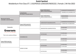 Dutch Spotted 100% UK Embryos from Donor Ewes & Rams - Tank #6 - 1/2 imported into USA & 1/2 in UK/AI Centre for early 2024 import - SOLD OUT