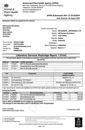 Cotswold "Roelcots Henry" C17407 (UK0334115-00316) - in UK/AI Centre semen collection for Spring 2026 importation