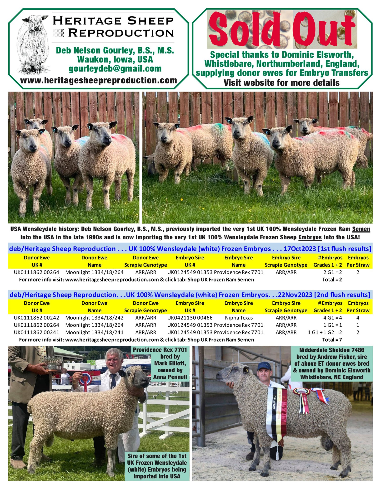 Wensleydale (white) 100% UK Embryos from Donor Ewes & Rams - Tank #8 - Embryos imported into USA