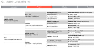 Wensleydale (White) "Nipna Tennessee" (1261/22/462) (UK0421130-00462) - in UK/AI Centre for Fall 2023 import