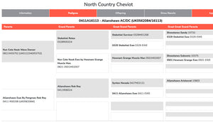 North Country Cheviot "Allanshaws AC/DC" 0411A16113 (UK0562084-16113) [13175] - Tank #5 - Semen imported into USA