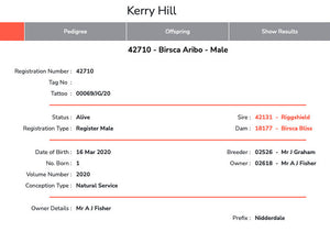 Kerry Hill "Birsca Aribo 42710" (UK0587914-00069) - Tank #1 - Semen Imported into USA - SOLD OUT