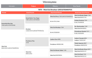 Wensleydale (White) "West End Brexiteer 7670" (694/18/757) (UK0107504-00757) - Tank #1 - Semen Imported into USA