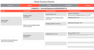 North Country Cheviot "Cairnside Brightspark" 0764B02711 (UK0500183-02711) - Tank #4 - Semen imported into USA