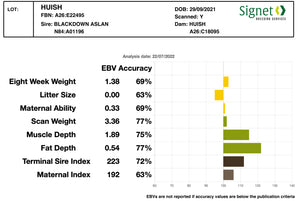 Dorset (Polled) "Huish" A26:E22495 (UK0364432-22495) - Tank #3 - Semen Imported into USA