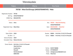Wensleydale (Black) “West End Drongo 7671B” (694/18/747B) (UK0107504-00747) - Tank #2 - Semen Imported into USA