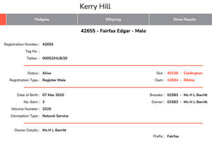 Kerry Hill "Fairfax Edgar 42655" (UK0138182-00052) - Tank #3 - Semen Imported into USA