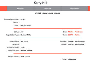 Kerry Hill "Marlbrook 42589" (UK0315021-02495) - Tank #3 - Semen Imported into USA