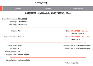 Teeswater Nidderdale 0919/20/001 (UK0124085-04265) - Tank #1 - Semen Imported into USA