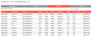 Wensleydale (white) "Providence Rex 7701" (UK0124549-01353) - in UK/AI Centre for early 2024 import