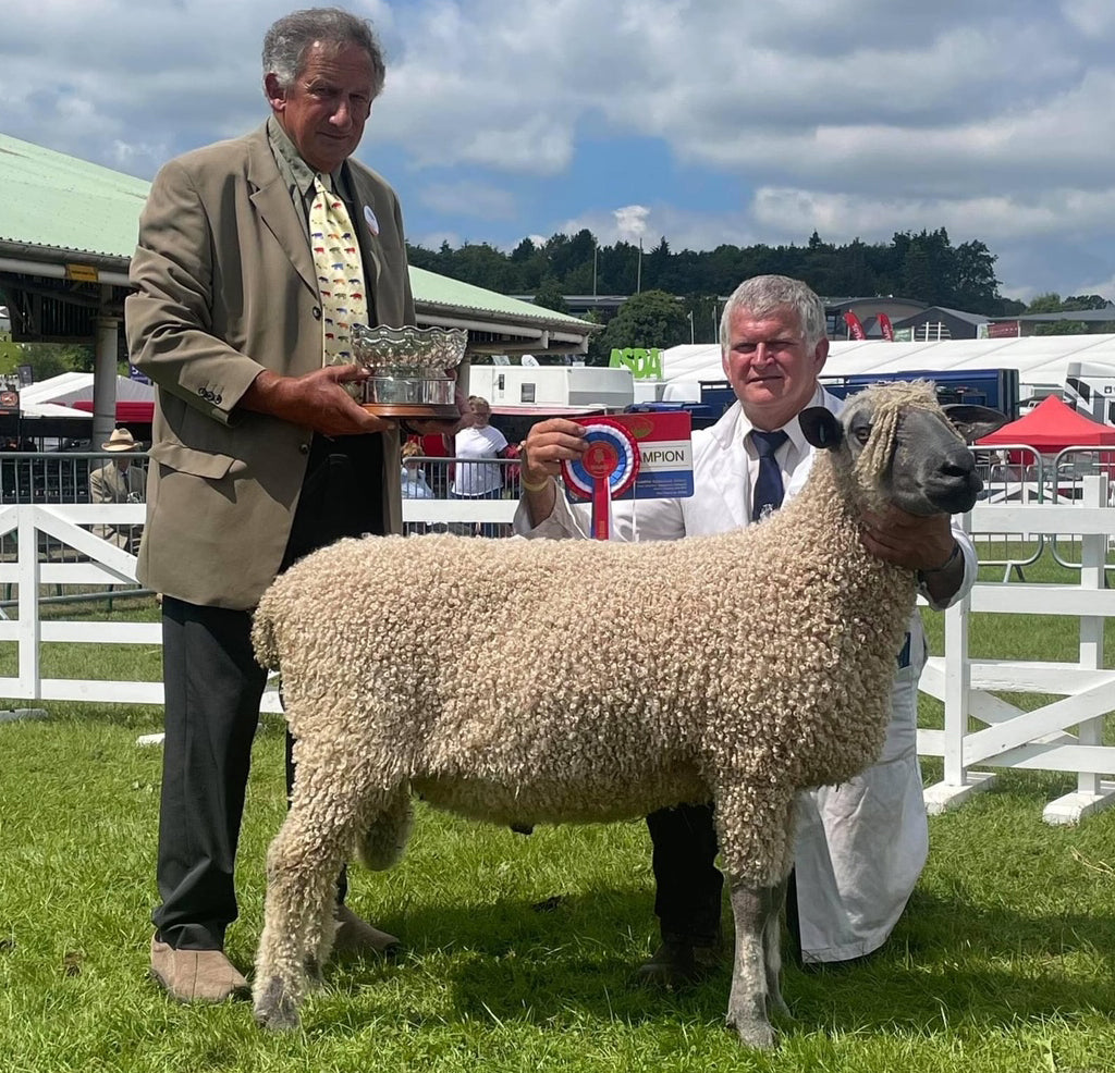 Wensleydale (white) 