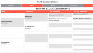 North Country Cheviot "Sebay Xcitable" 0253X04044 (UK0523780-04044) - Tank #4 - Semen imported into USA