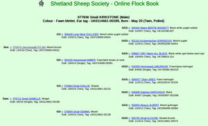 Shetland "Smali Kirkstone 077836" (UK0114661-00289) - Tank #5 - Semen imported into USA