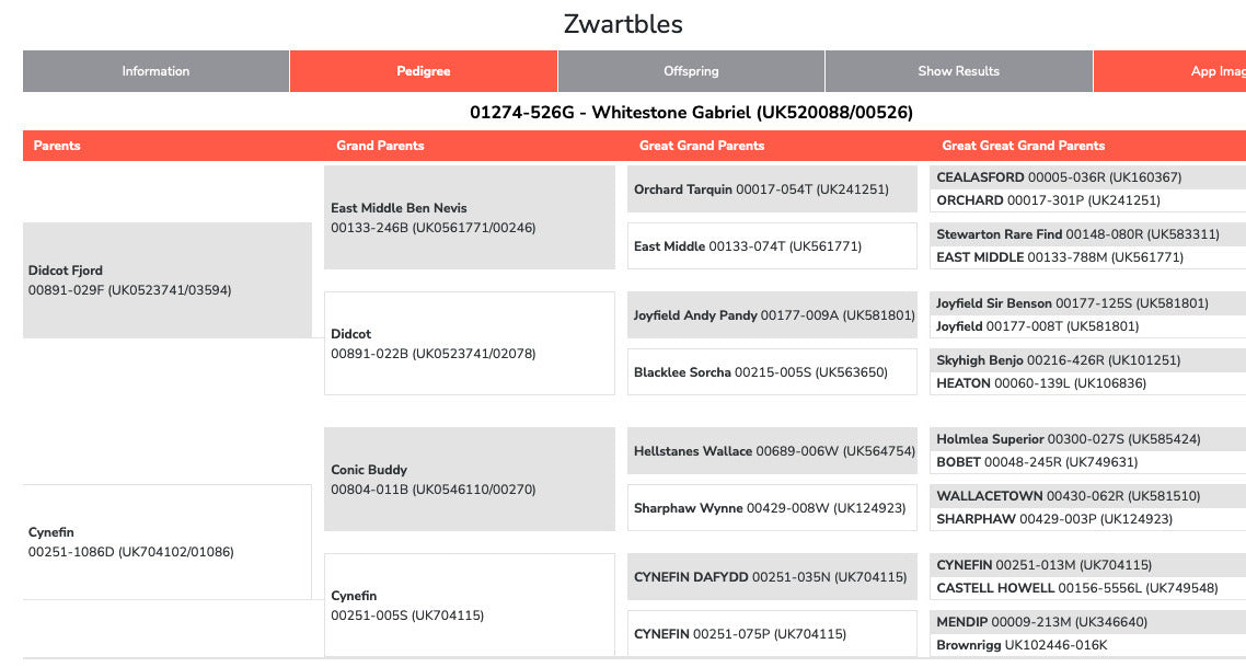 Zwartbles 