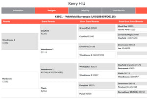 Kerry Hill "Whitfield Barracuda 43501" (UK0188479-00125) - Tank #5 - Semen Imported into USA
