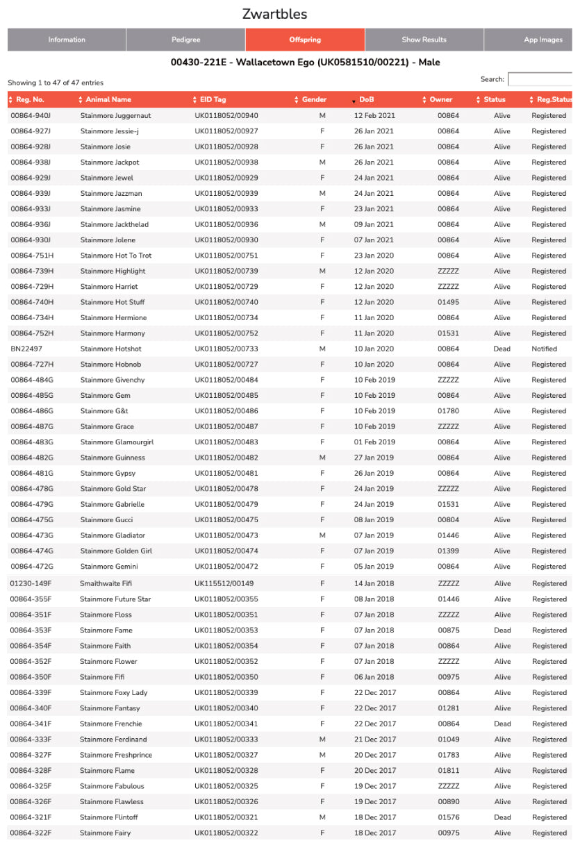 Zwartbles "Wallacetown Ego” (00430221E) (UK058151000221) Tank 2 Heritage Sheep Reproduction