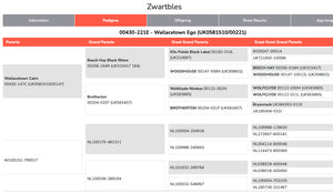 Zwartbles "Wallacetown Ego” (00430-221E) (UK0581510-00221) - Tank #2 - Semen Imported into USA